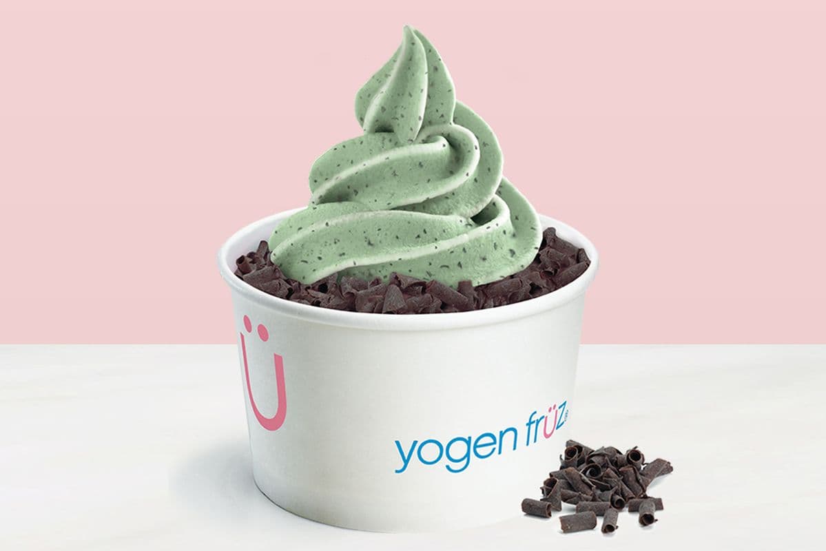 Mint Chocolate Chip Froyo