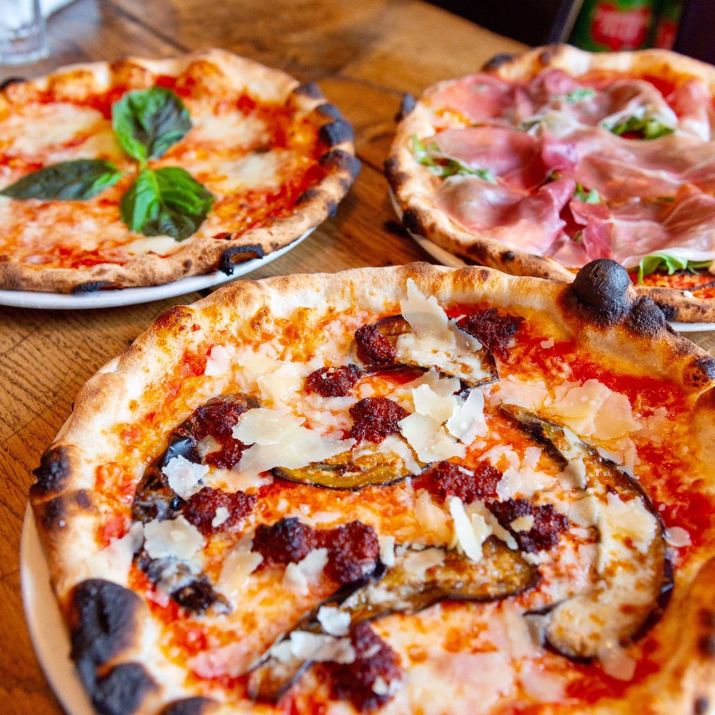 Terroni