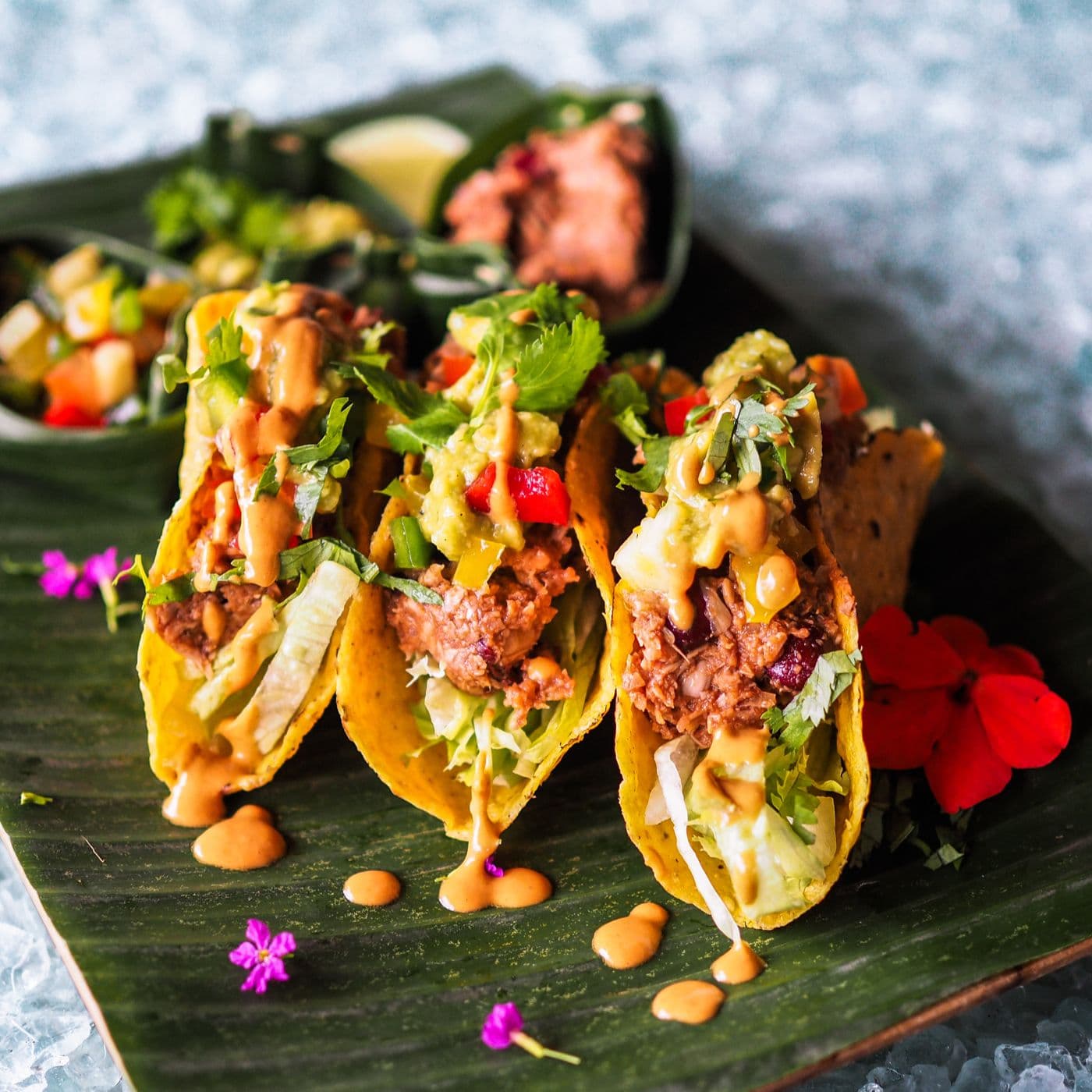 Tacoholic Taco Shop