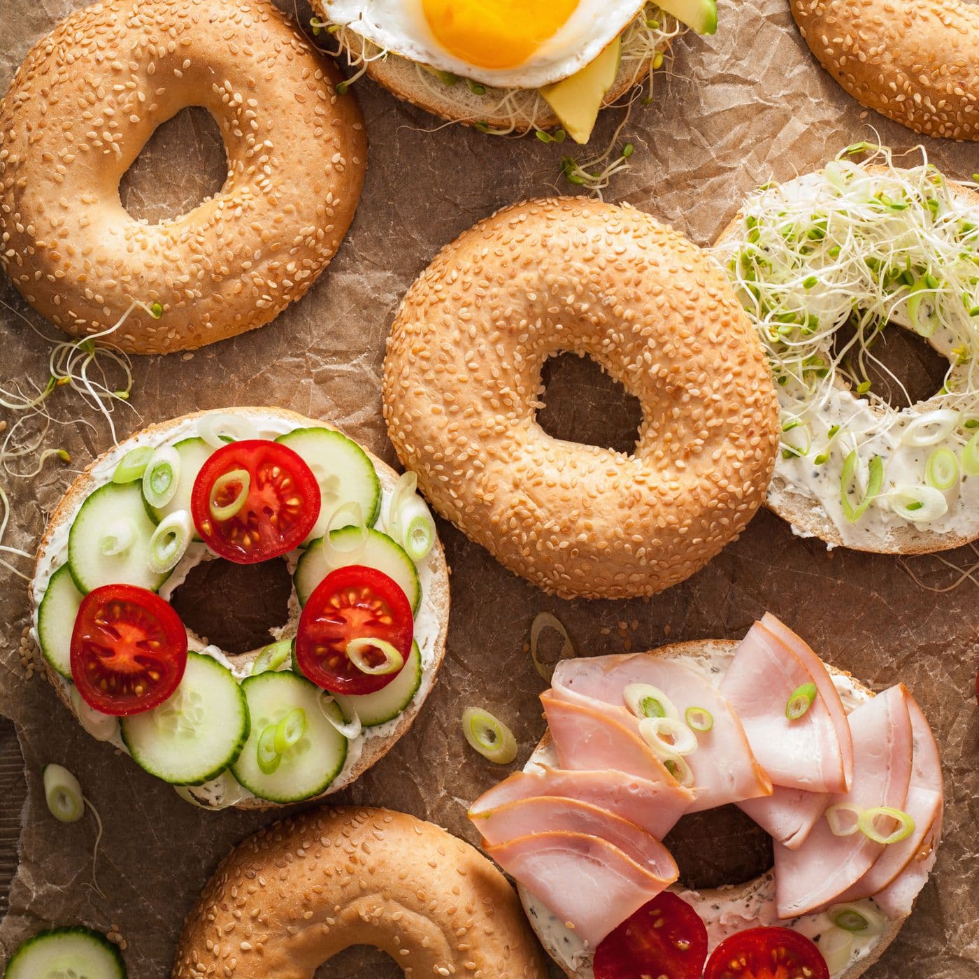 Wayne's Bagels Ltd.