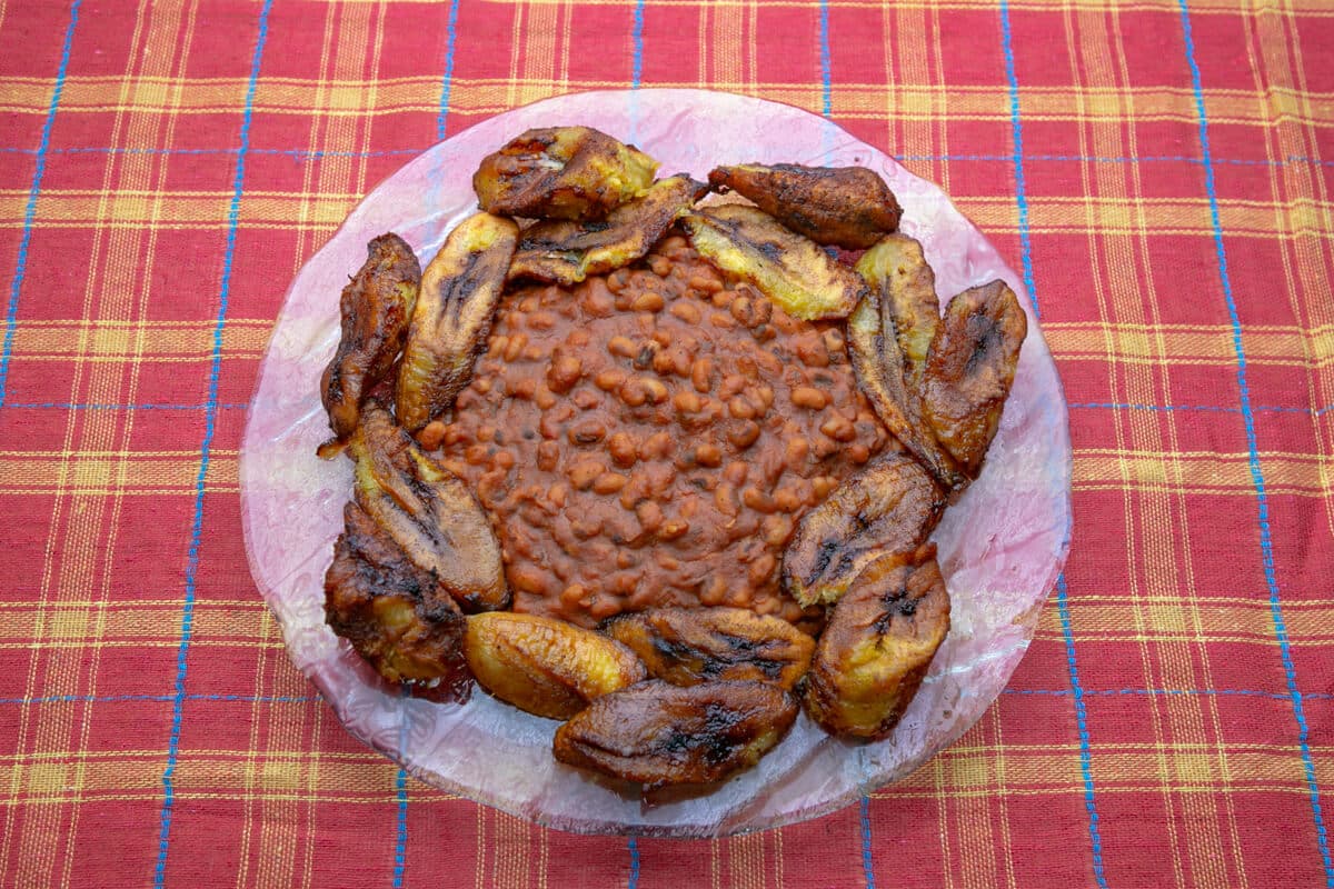 Beans and Planting