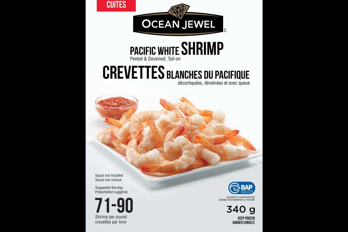 Ocean Jewel Shrimp