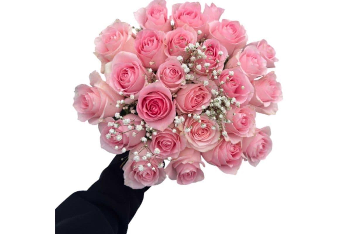 Light Pink Roses - 2 Dozen (24 Stems)