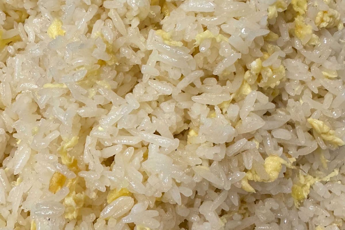Egg Fried Rice 蛋炒饭