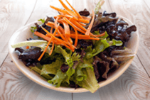 Side Garden Salad