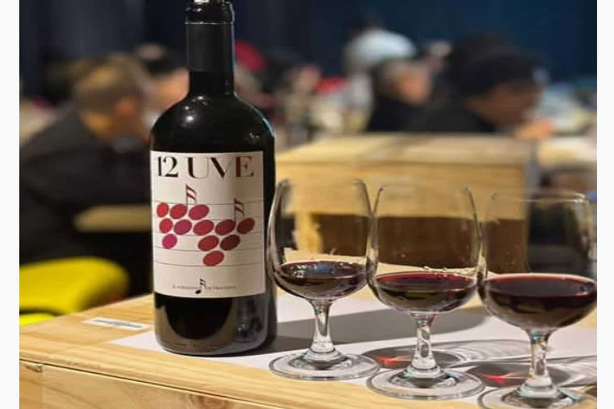 PARADISO SUPER TUSCAN 12 UVE (1 x 750ML)