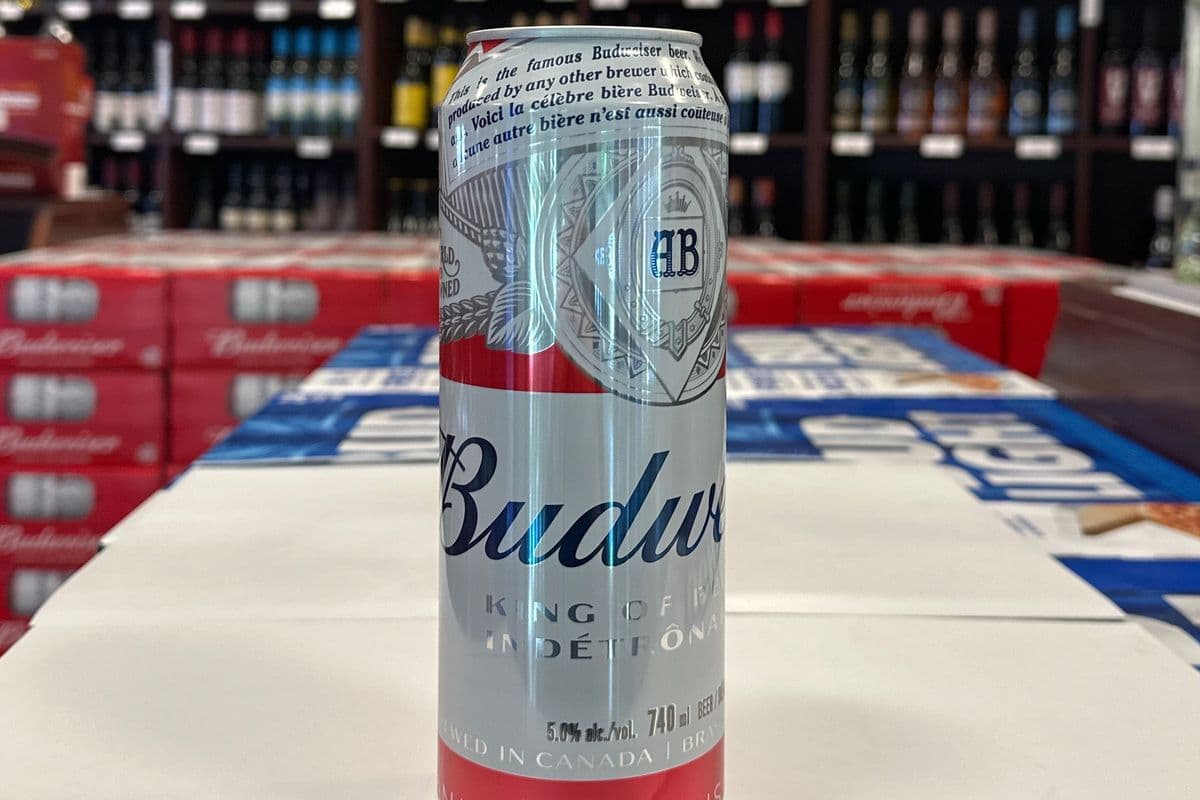 BUDWEISER 740ML (1 x 740 ml)