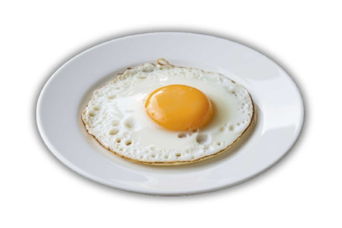 Fried Egg