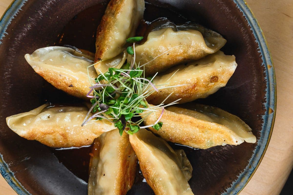 vegetarian dumplings