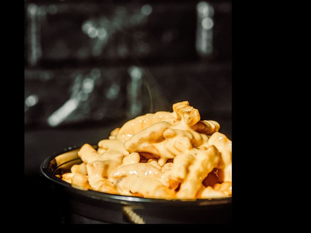 Frites avec fromage fondu / Fries with Melted Cheese