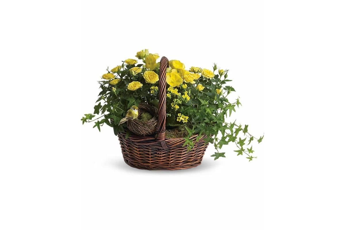 Yellow Trio Basket