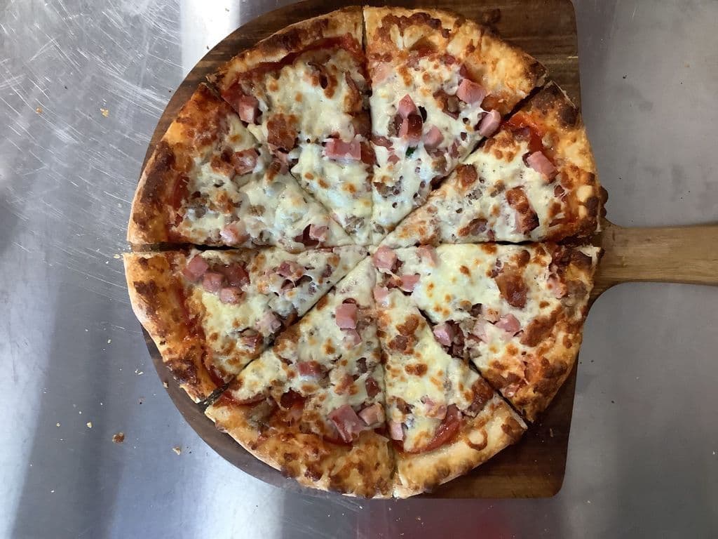 12" Large Carnivore