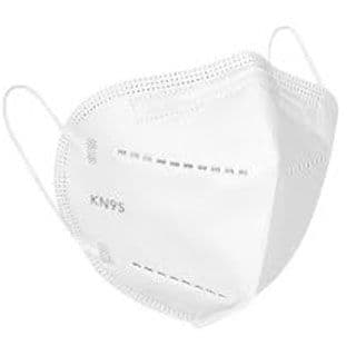 WJ Particulate Respirator N95 Mask (1 pc)