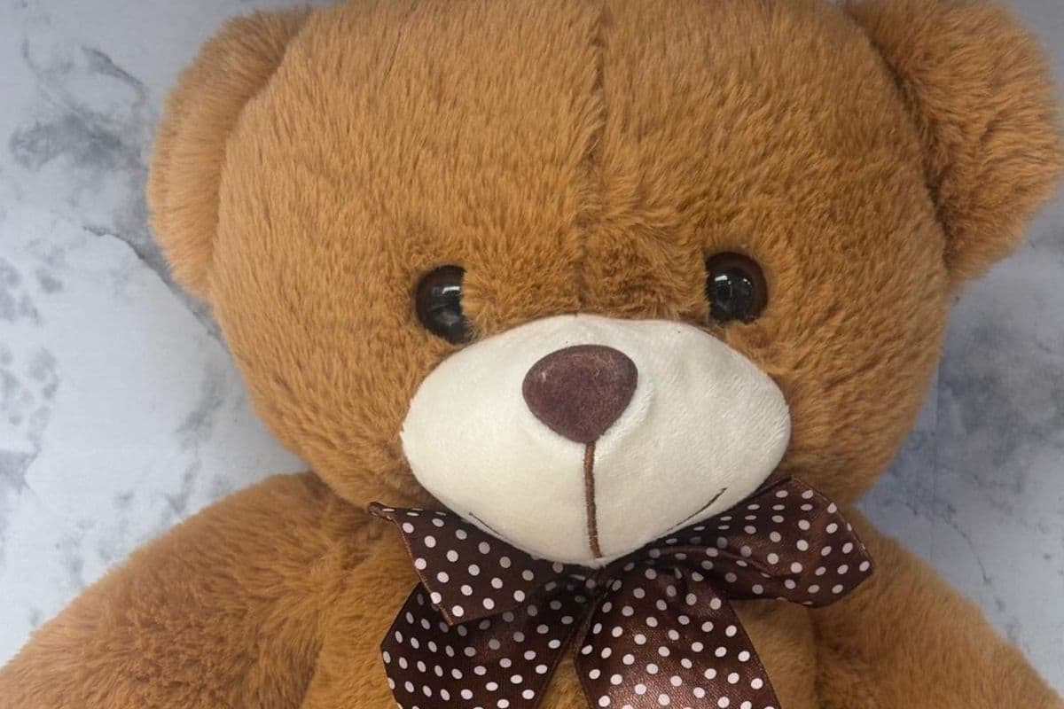 Teddy Bear