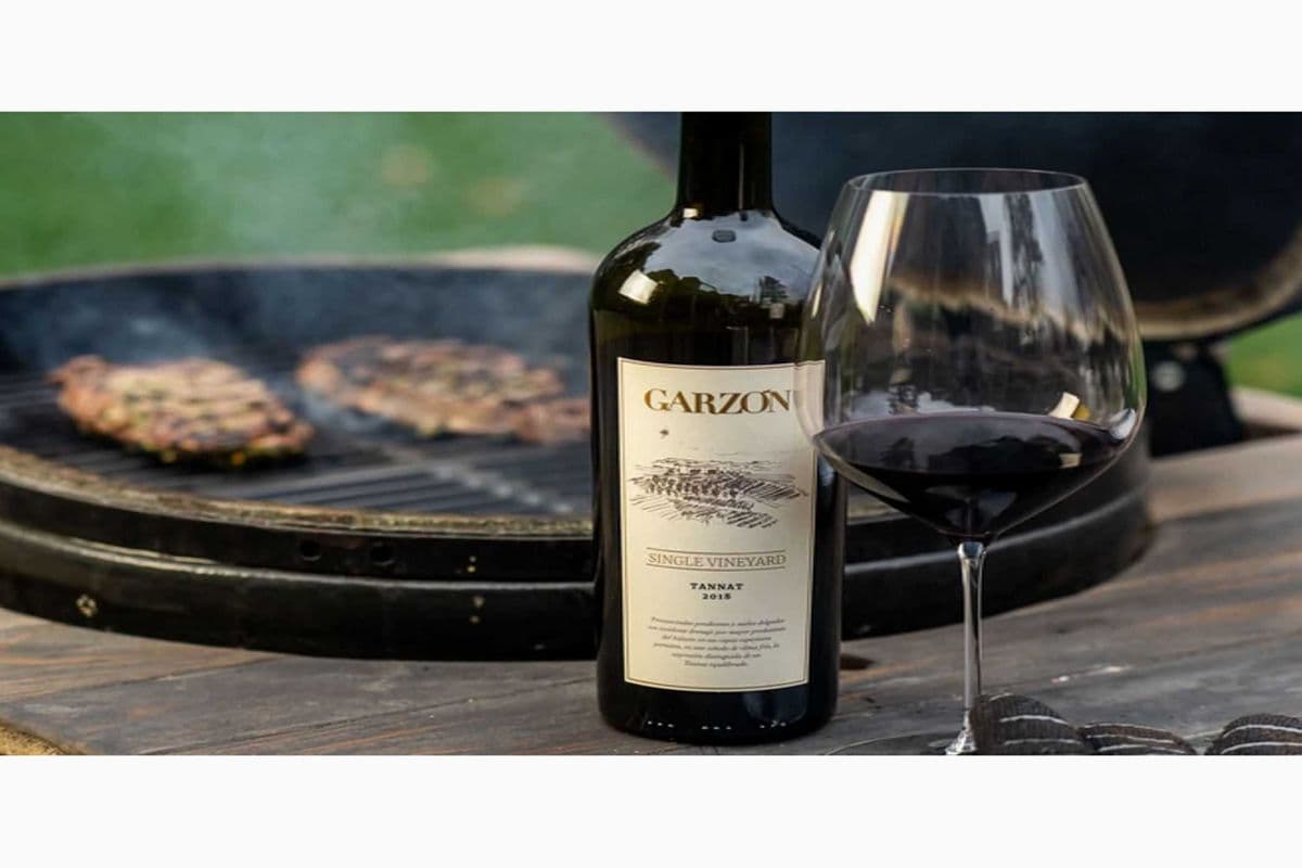 GARZON RESERVA TANNAT (1 x 750ML)