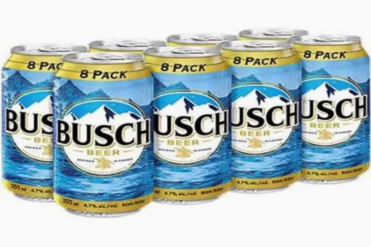 BUSCH (8 x 355 ML)