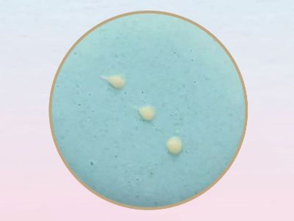 Earl Grey Macaron 伯爵马卡龙