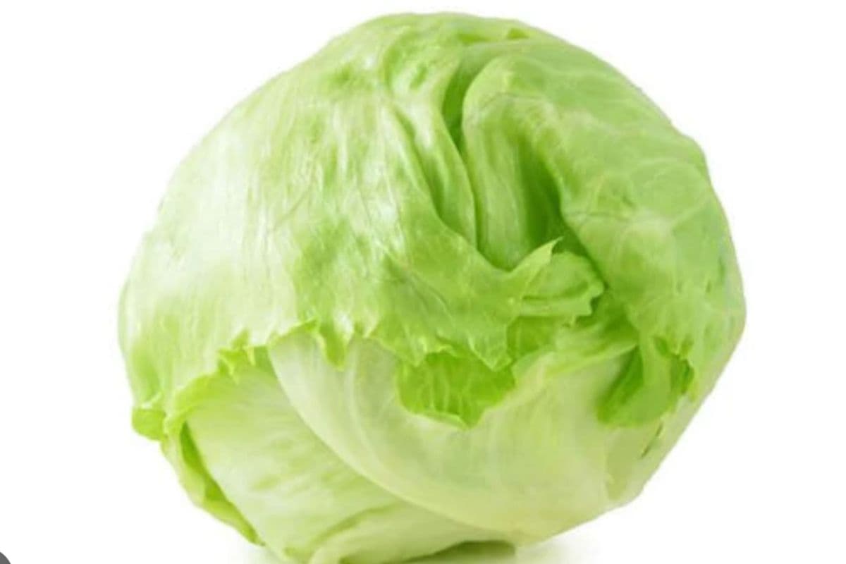 Head Lettuce