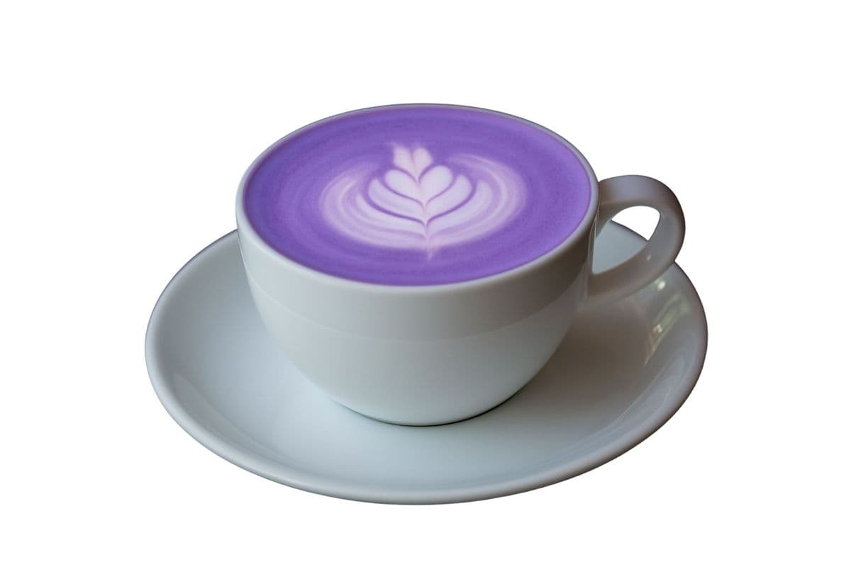 Ube Lavender Latte