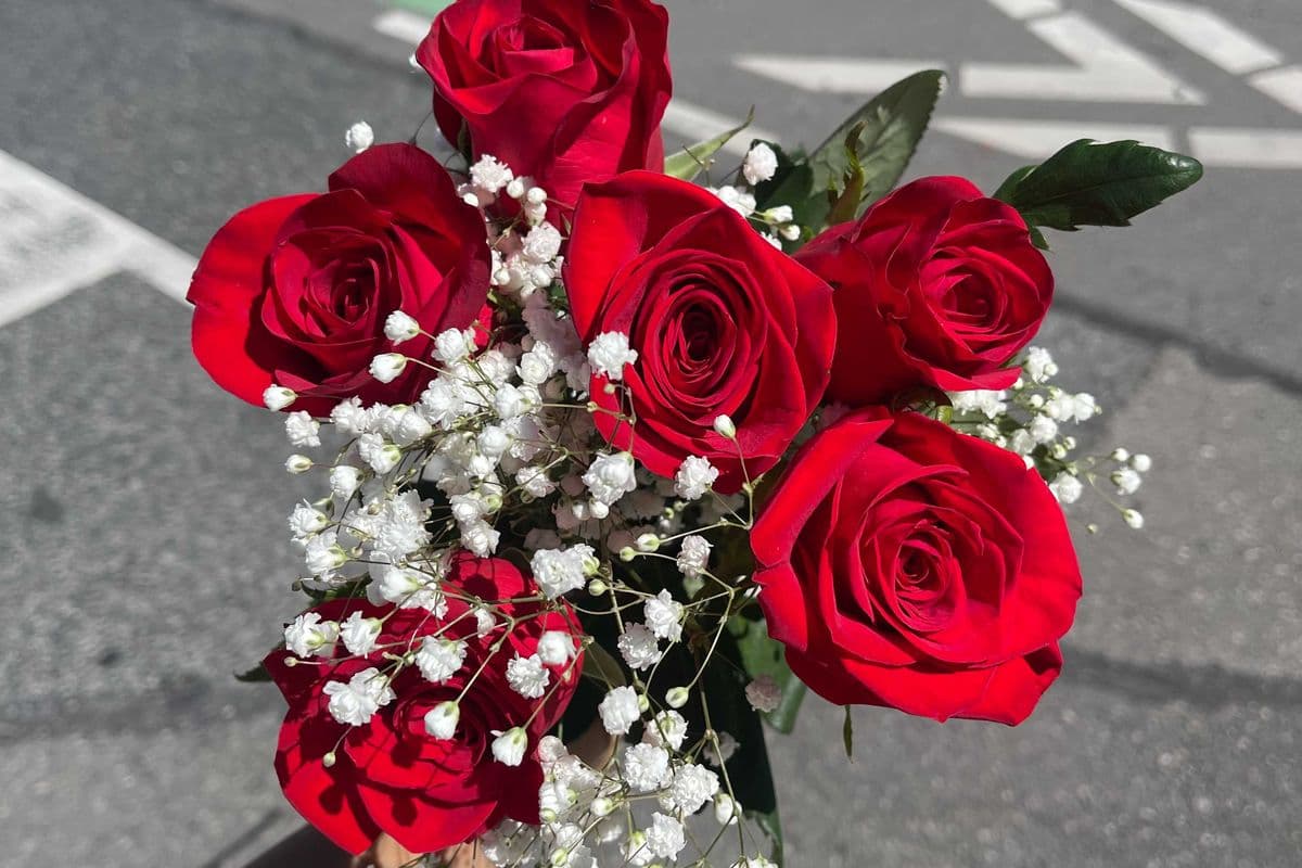 Red Roses - 6 Stems