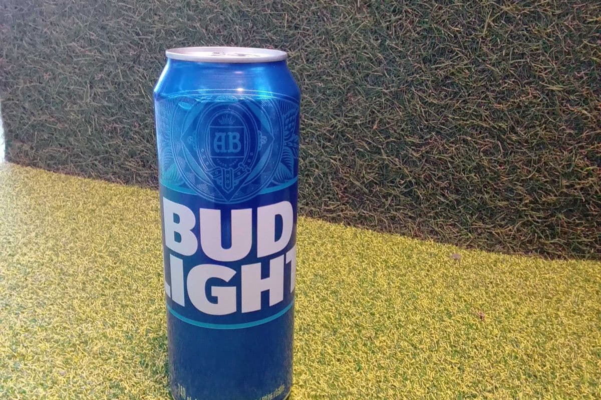 Bud Light (1 x 740 ml)