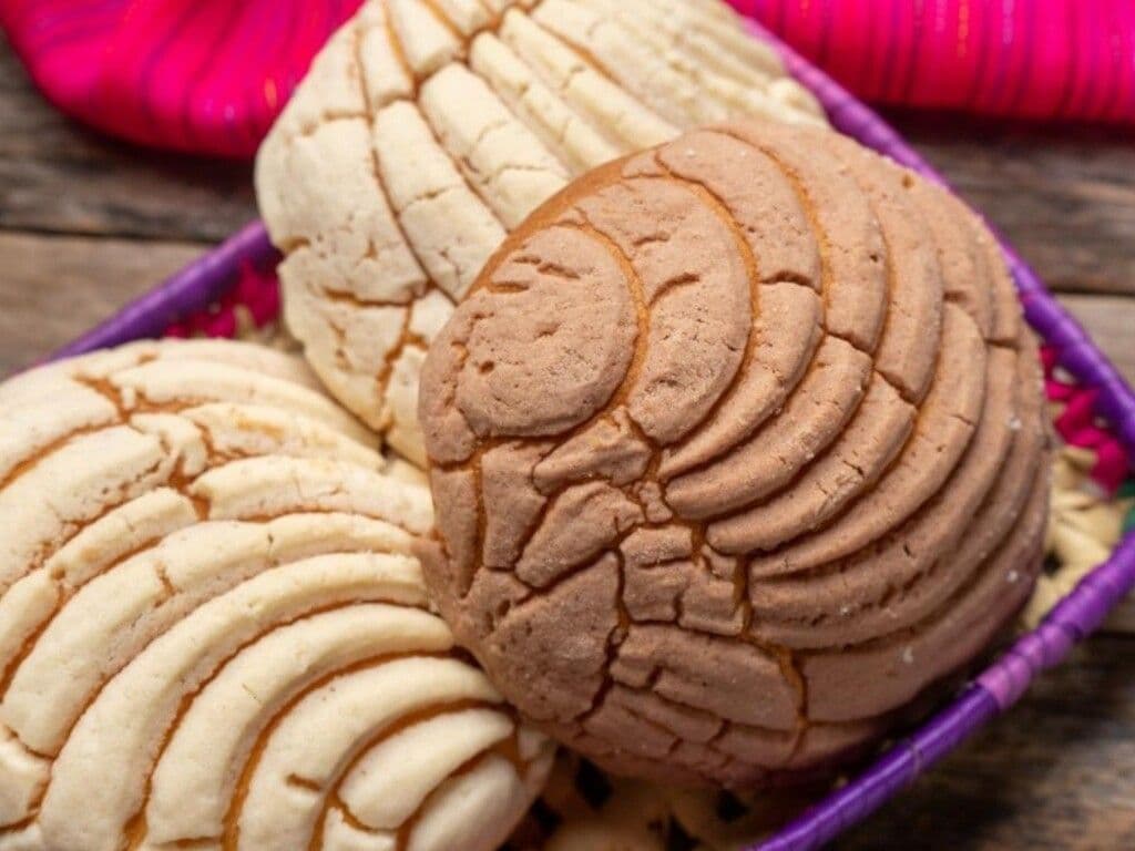 concha mexicana