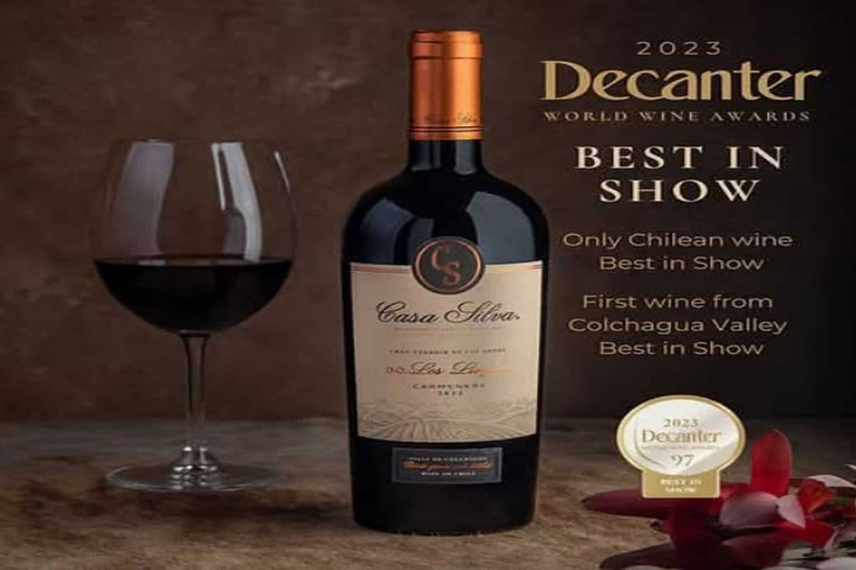 CASA SILVA CARMENERE (1 x 750 ML)