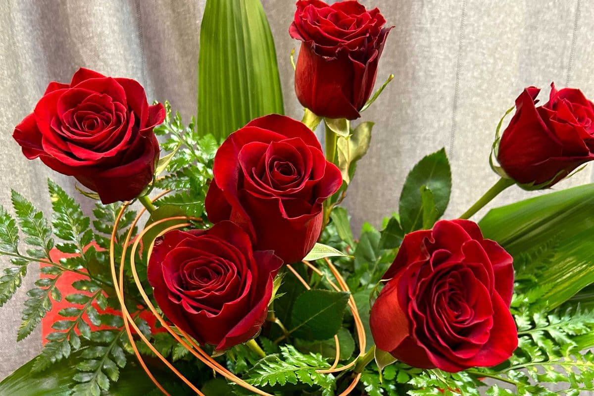 Special Someone - Six Red Roses