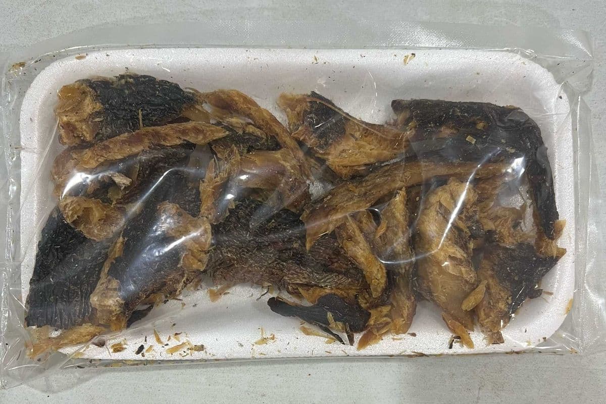 Packed Dried Baracuda Fish