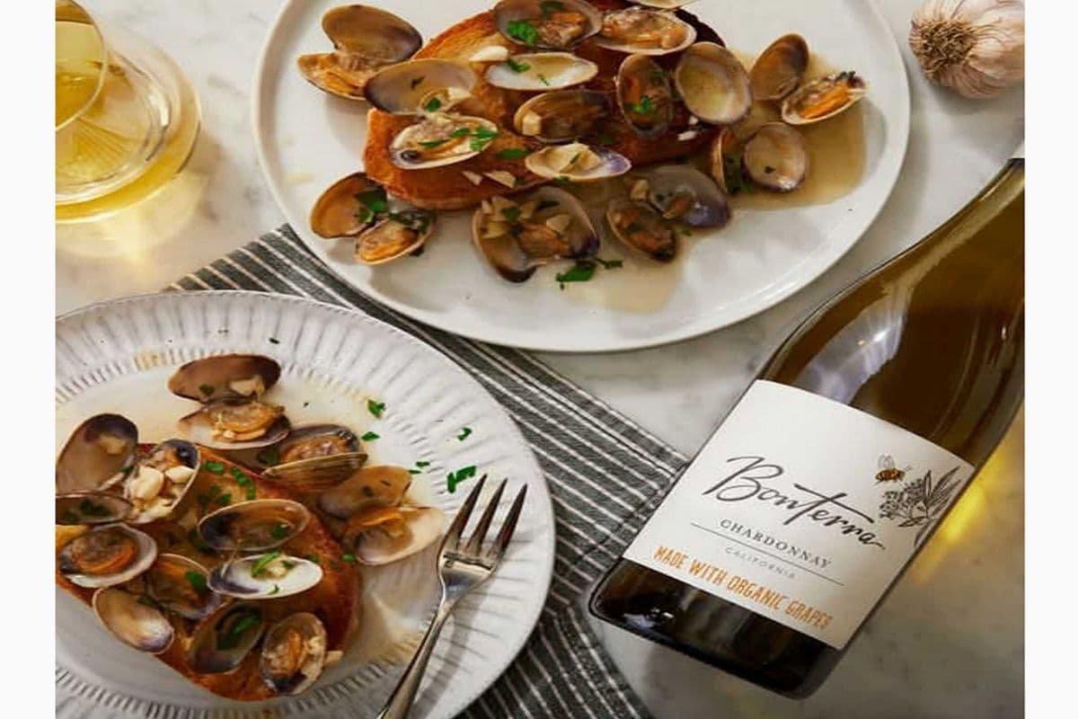 BONTERRA CHARDONNAY (1 x 750ML)