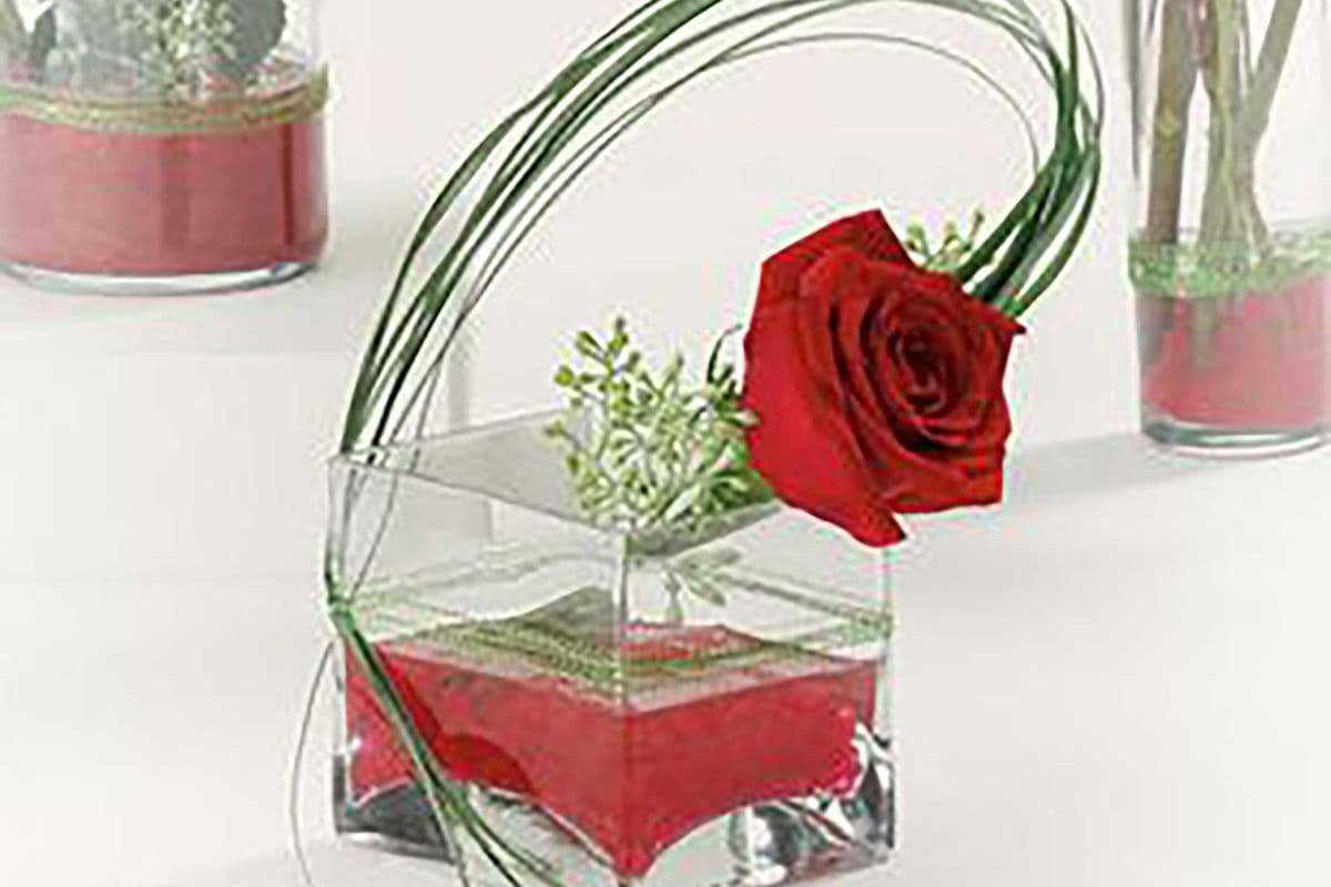 Contempo - Rose