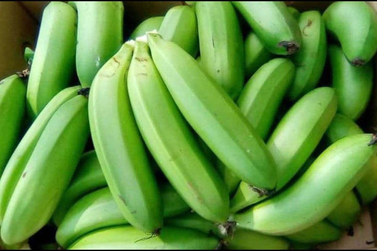 Fresh Matooke (Green Banana) (Per lb)