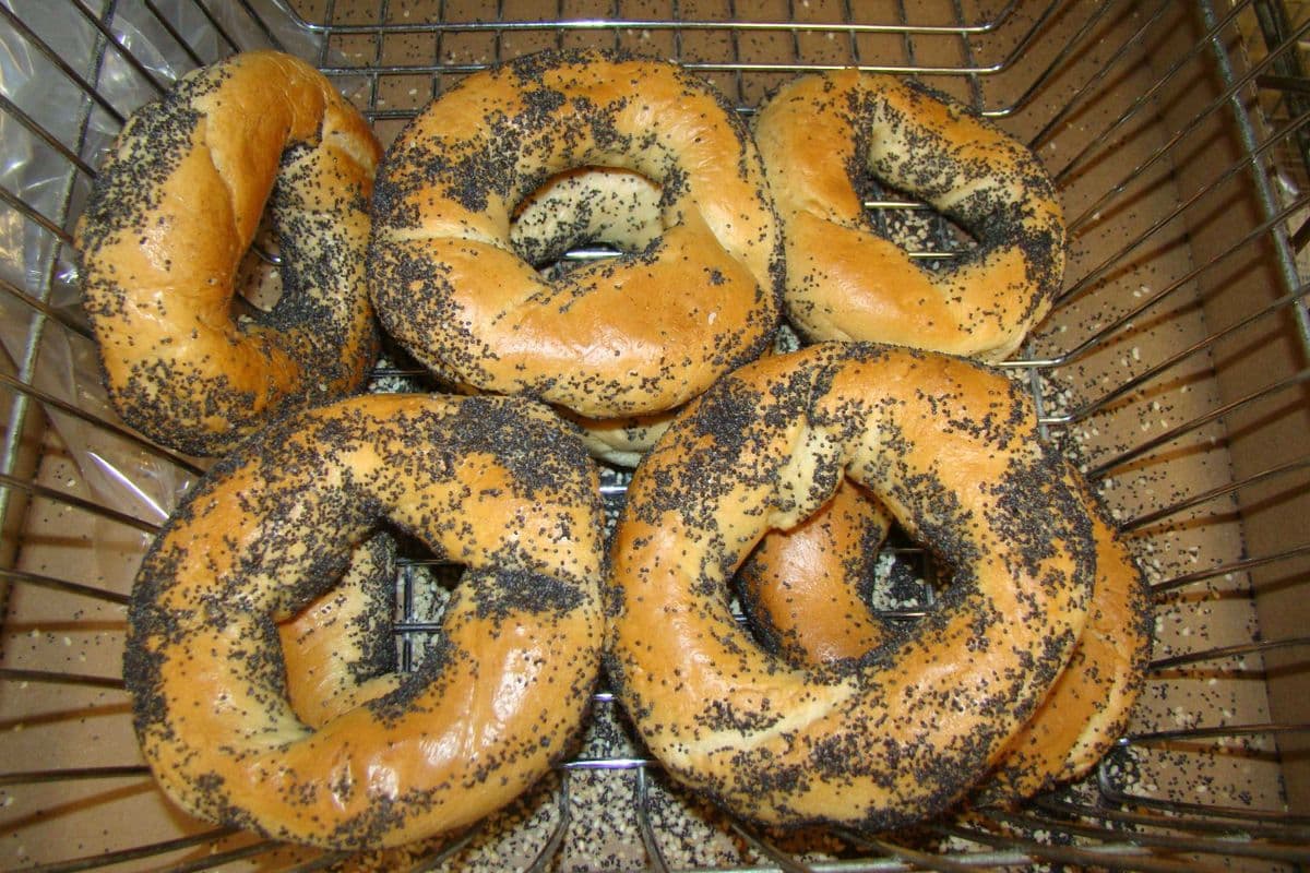 Fairmount bagel aux graines de pavot / Fairmount poppy seed bagel