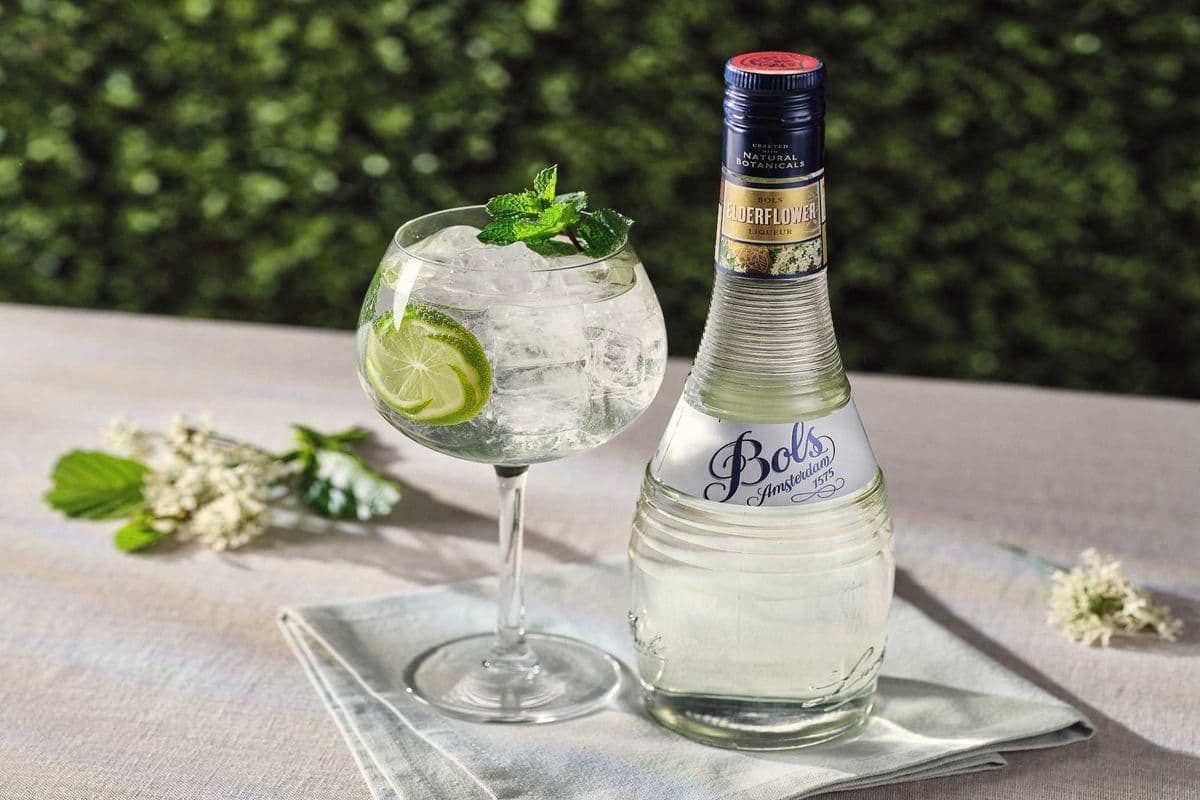 BOLS TRIPLE SEC (1 x 750 ML)