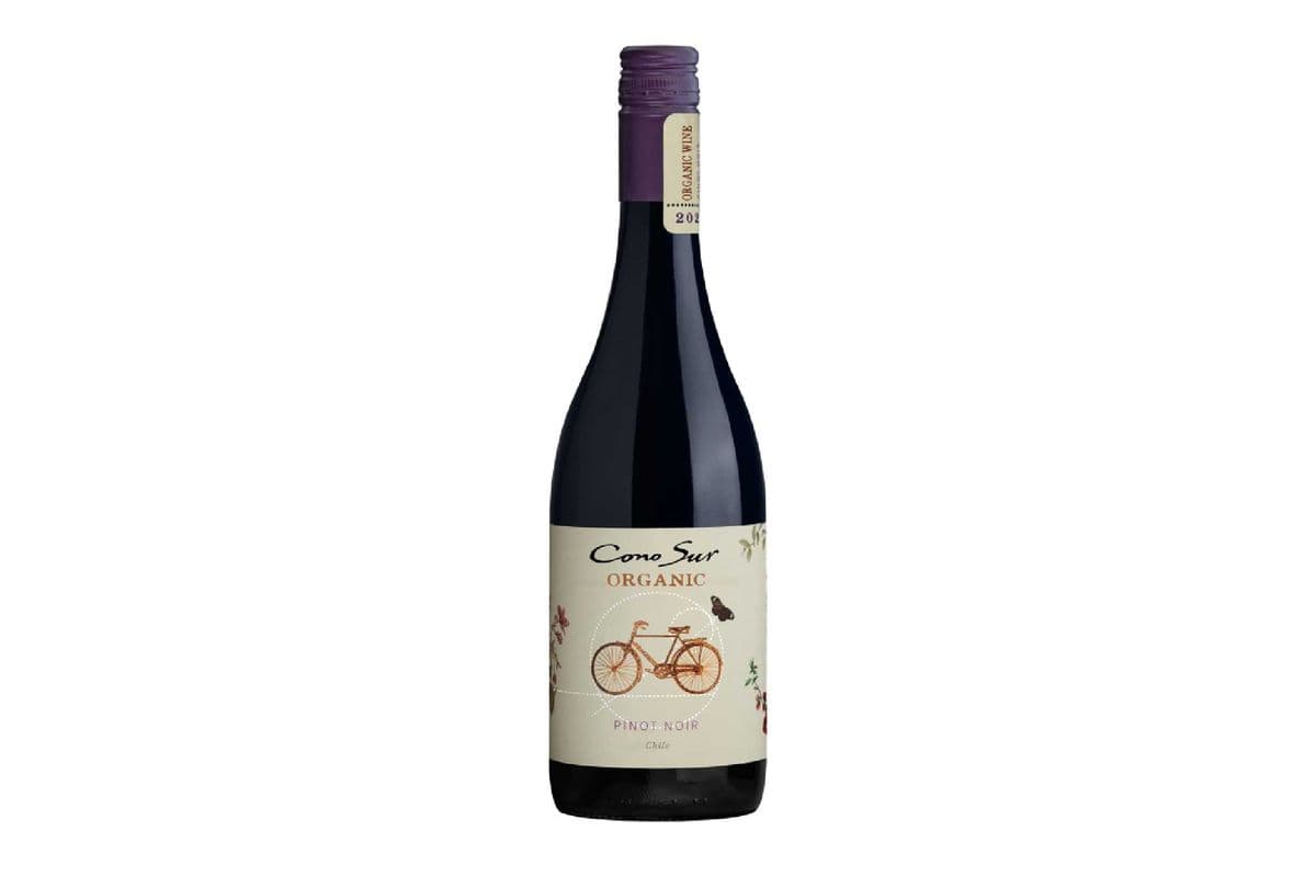 Cono Sur Organic Pinot Noir-750ml (1 x 750ml)
