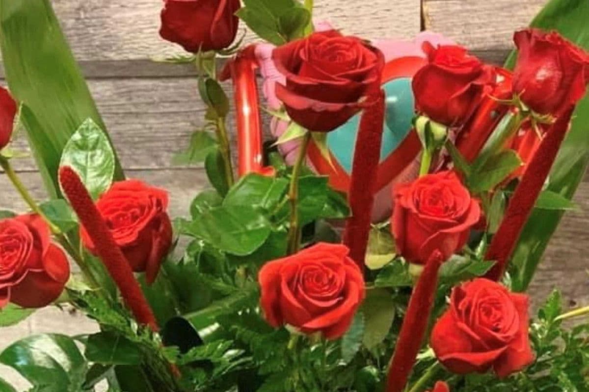 Hug and Kisses -15 Roses