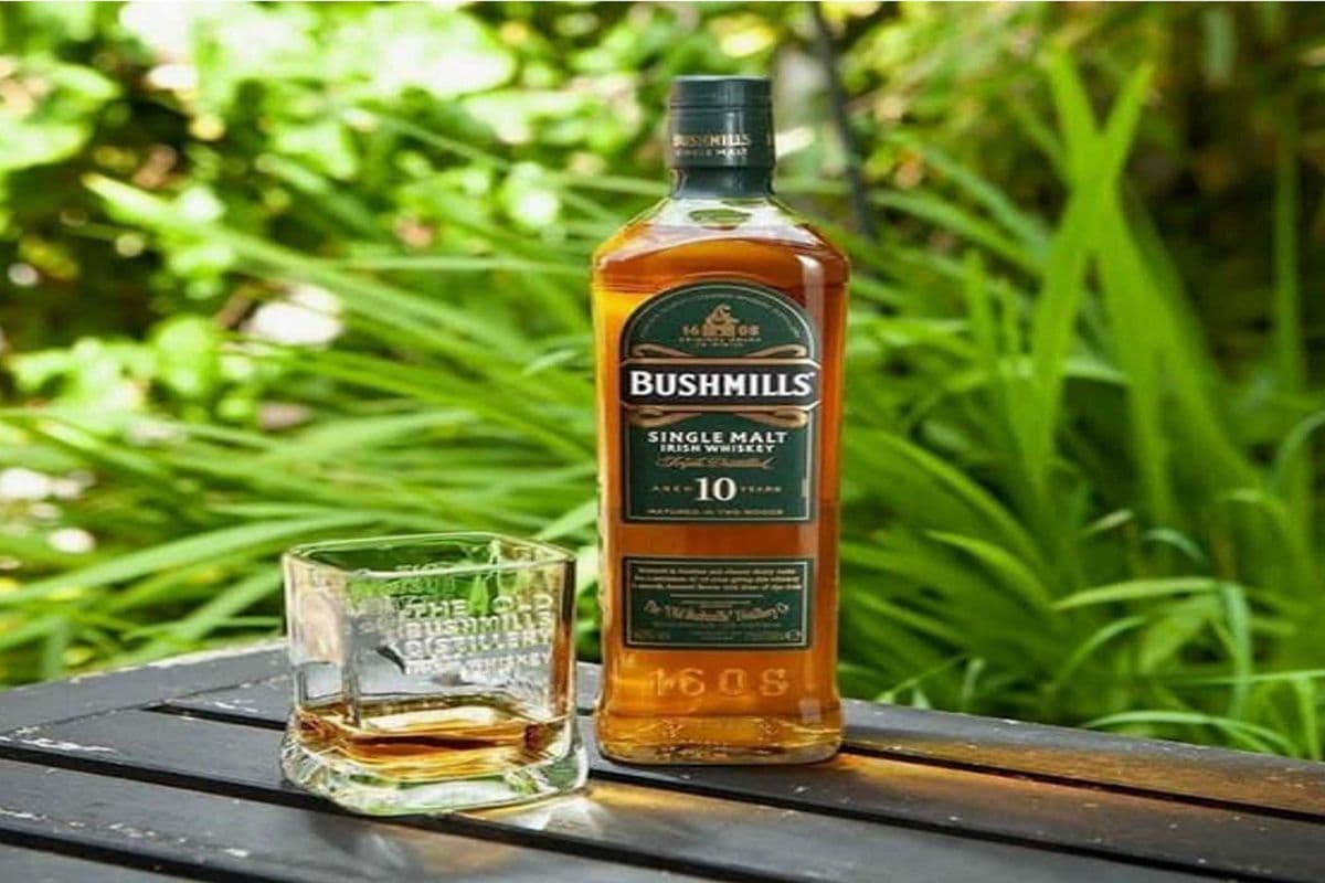 BUSHMILLS 10 YR OLD (1 x 750 ML)