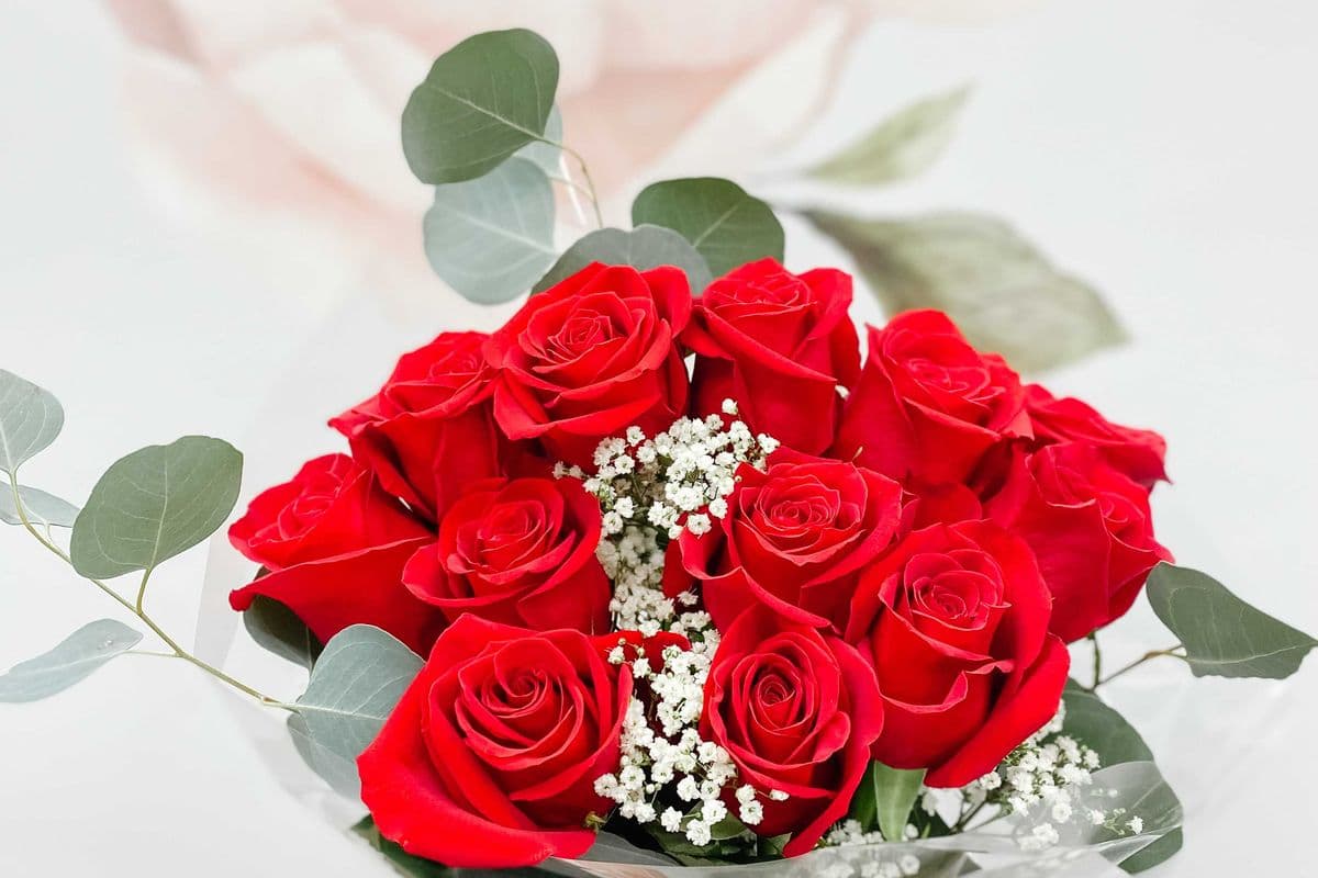 Dozen Handtied Roses, No Vase