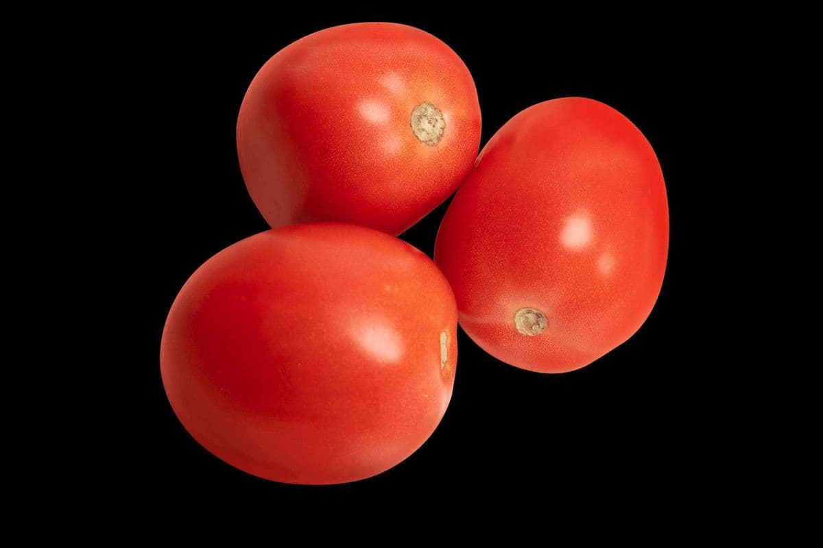 Packed Roma Tomatoes (10 lbs)