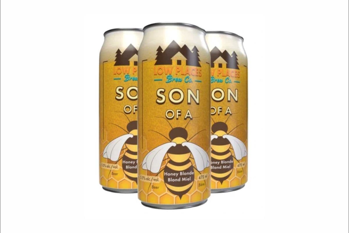 Son of a Bee Honey blonde ale 4 Can (4 x 473ml)