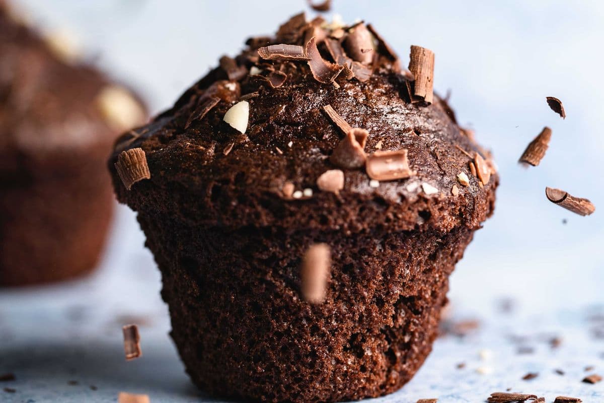 chocolate muffins
