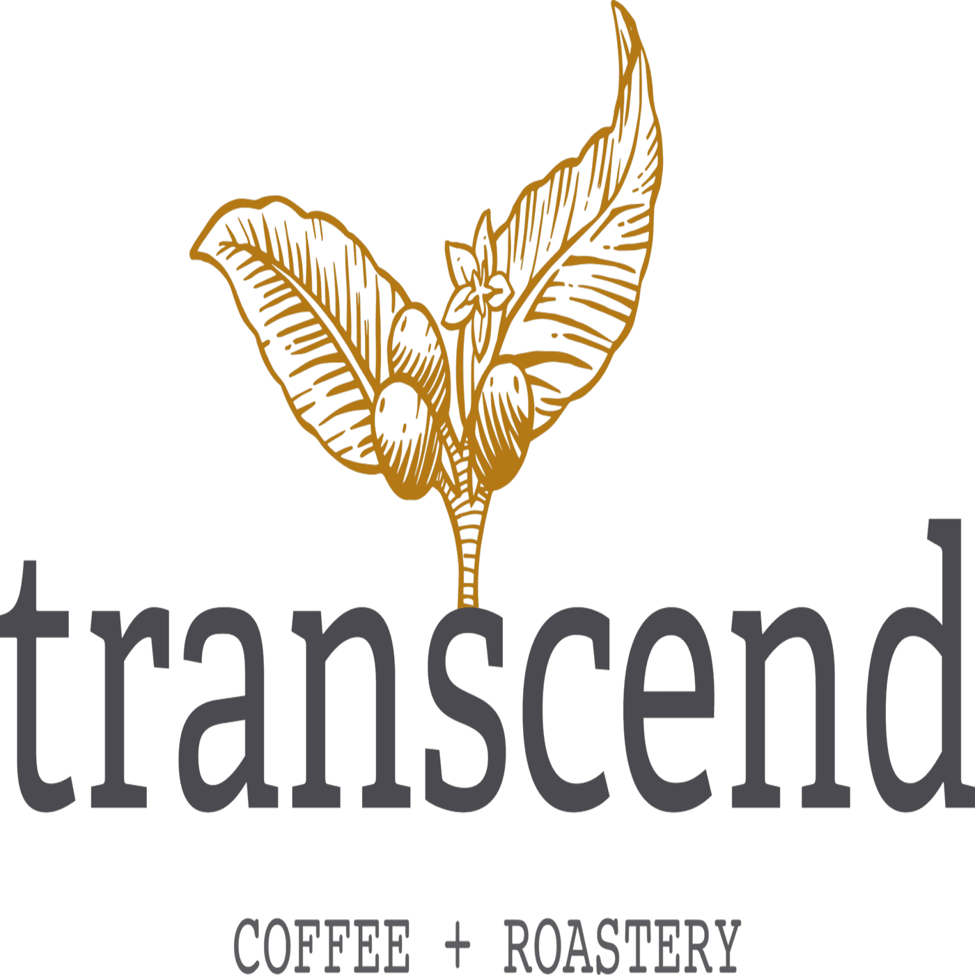 Transcend Coffee