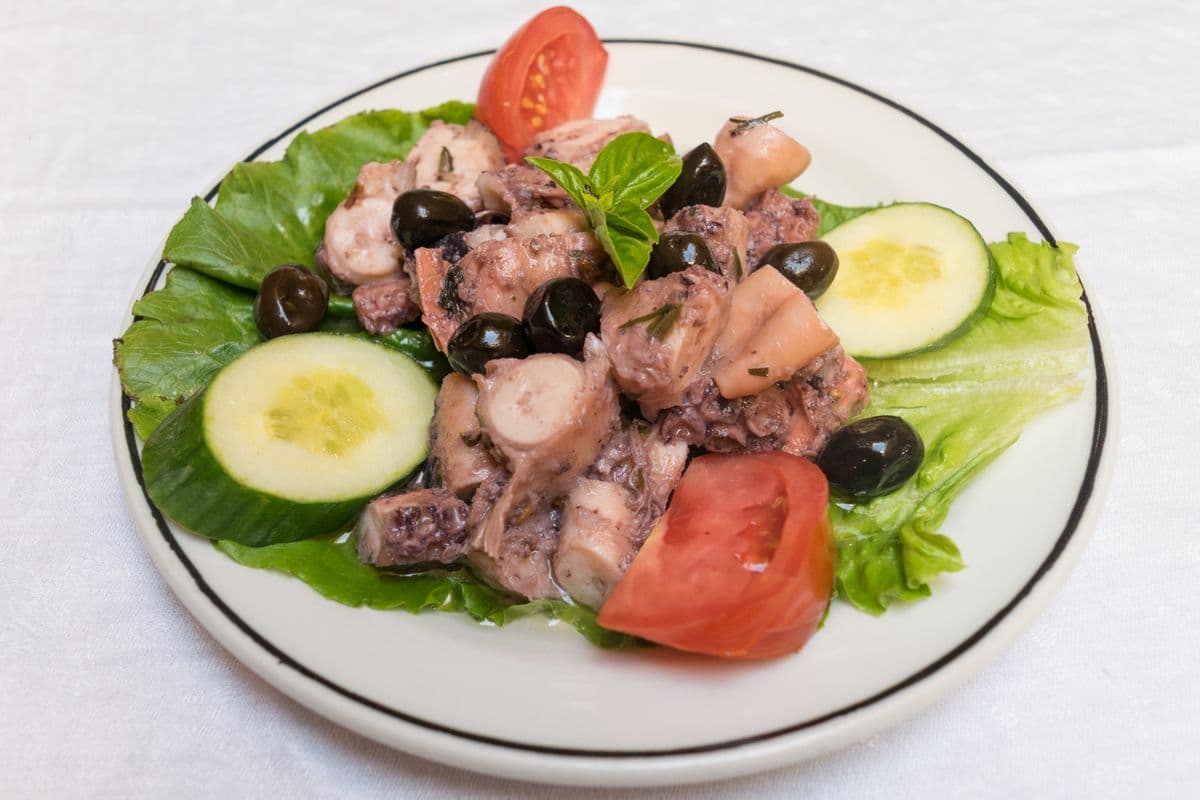 Octopus and Squid